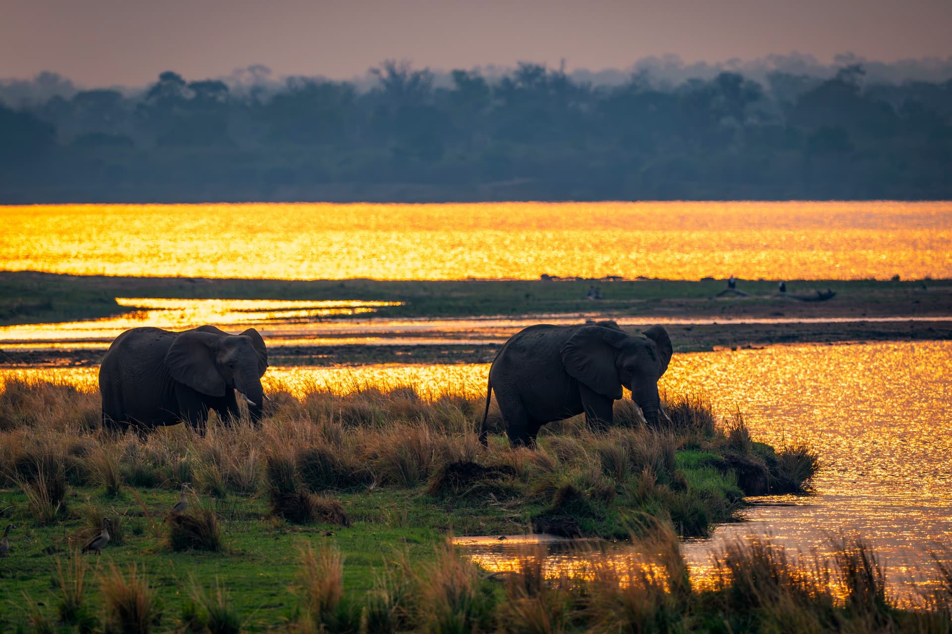 Hwange
